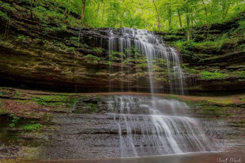 A serene waterfall cascading over rocky cliffs, surrounded by lush green trees and foliage.