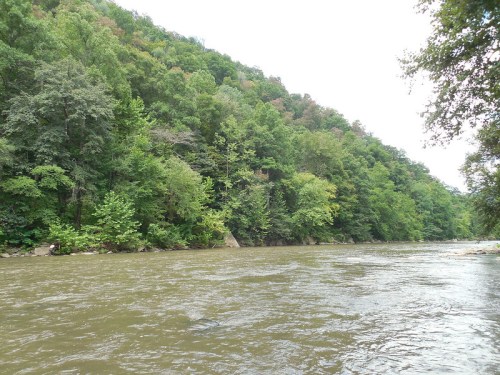 A serene river flows alongside lush green hills, surrounded by dense trees under a cloudy sky.