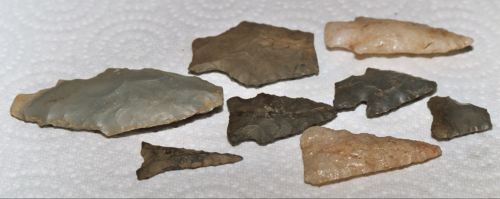 A collection of various stone tools and arrowheads arranged on a white paper towel background.