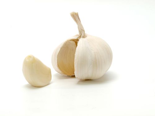 A bulb of garlic with one clove separated, set against a plain white background.