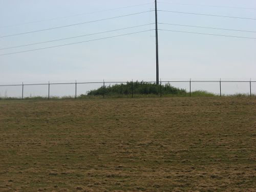 A grassy field with a fence and a small hill covered in vegetation under a clear sky. Power lines in the background.