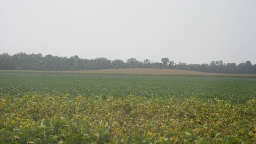 A vast landscape featuring green fields of crops under a hazy sky, with a tree line in the background.