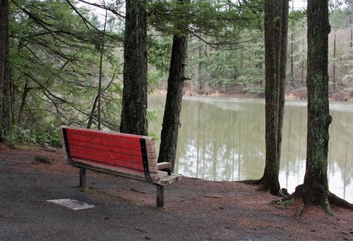 A red bench by a calm lake, surrounded by tall trees and a peaceful natural setting.