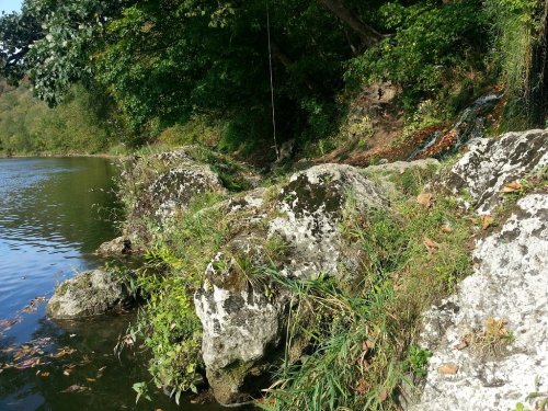 A serene riverbank scene with moss-covered rocks and lush greenery along the water's edge.