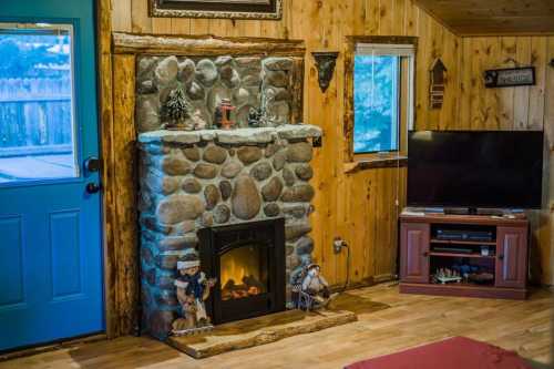 Cozy interior featuring a stone fireplace, wooden walls, a blue door, and a TV stand with decor.