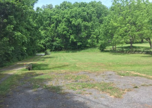 A grassy area surrounded by trees, with a gravel path leading into the greenery under a clear blue sky.