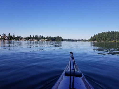 A calm lake view from a kayak, surrounded by trees and a clear blue sky. Reflections shimmer on the water's surface.