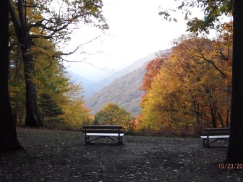 A serene park scene with two benches overlooking a valley filled with autumn foliage and distant mountains.