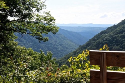 A scenic view of lush green mountains and valleys under a clear sky, framed by trees in the foreground.
