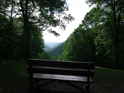A wooden bench overlooks a lush green valley surrounded by trees under a cloudy sky.