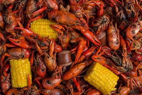 A close-up of a pile of cooked crawfish and corn, showcasing vibrant red shells and yellow corn kernels.