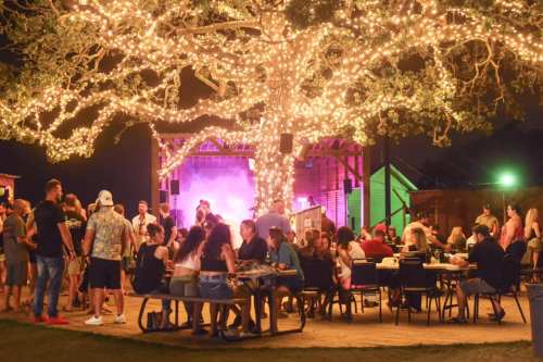 A lively outdoor gathering at night, with people socializing under a beautifully lit tree and a stage in the background.