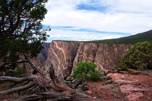A scenic view of a canyon with steep cliffs, surrounded by trees and a cloudy sky.