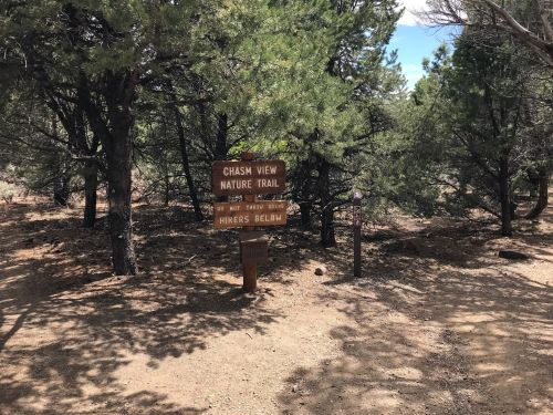 Sign for Chasm View Nature Trail surrounded by trees, warning hikers to stay on the trail.