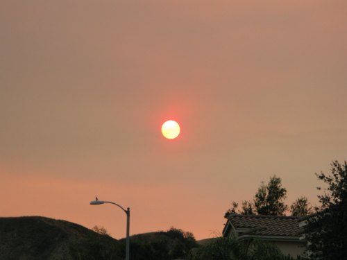 A hazy sunset with a bright sun surrounded by a pinkish sky, above silhouettes of houses and trees.