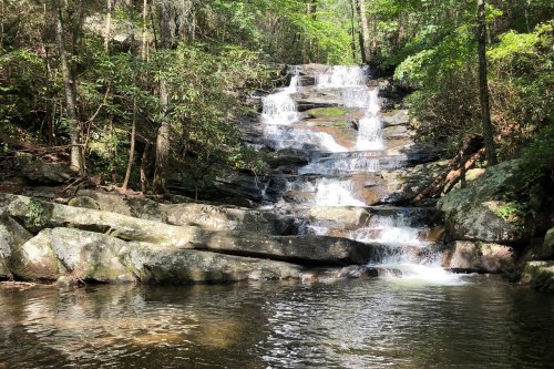 A serene waterfall cascades over rocks into a calm pool, surrounded by lush green trees and foliage.