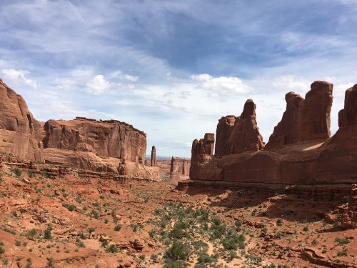 A vast canyon with towering red rock formations under a blue sky, dotted with green vegetation.