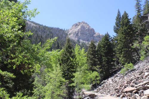 A rocky path leads through lush green trees, with a towering mountain peak in the background under a clear blue sky.