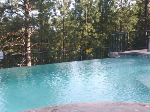 A serene pool with clear water, surrounded by tall green trees and a railing, set in a tranquil outdoor environment.
