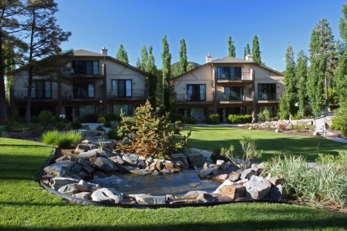 A serene landscape featuring a pond surrounded by rocks, with modern buildings and tall trees in the background.