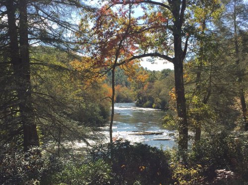 A serene river flows through a forest, surrounded by trees with autumn foliage under a clear blue sky.