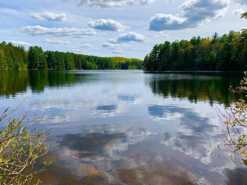 A serene lake surrounded by lush green trees, reflecting clouds and blue sky on its calm surface.
