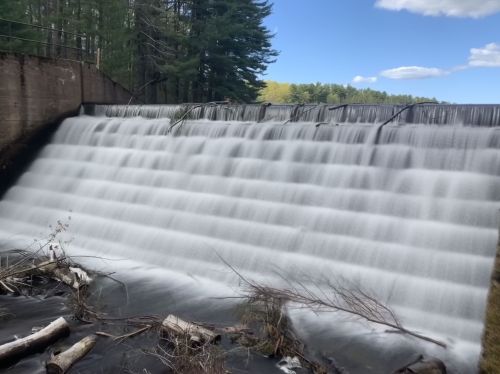 A cascading waterfall over a dam, surrounded by trees and a clear blue sky, with logs scattered at the water's edge.
