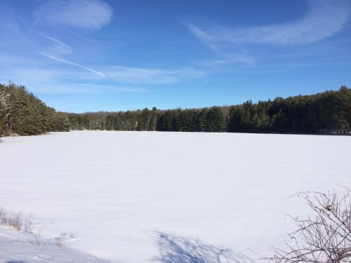 A snowy landscape with a frozen lake surrounded by evergreen trees under a clear blue sky.