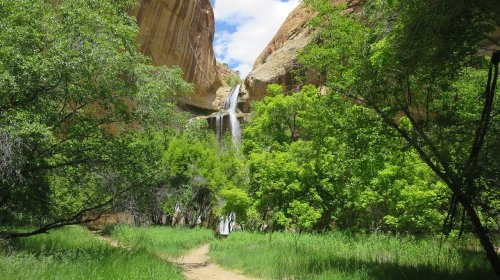 A lush green landscape with a waterfall cascading down rocky cliffs, surrounded by trees and a clear blue sky.