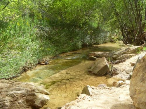A serene stream flows through a lush green landscape, surrounded by rocks and tall grasses.