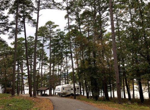 A camper parked on a winding road surrounded by tall trees near a lake.