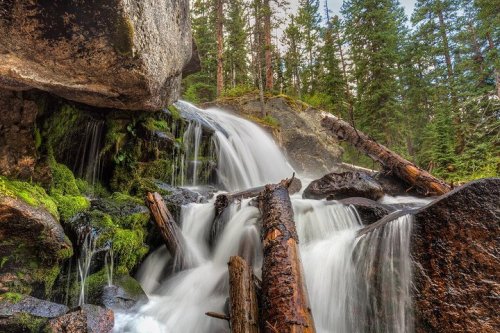 A serene waterfall cascades over moss-covered rocks and fallen logs, surrounded by lush green trees.