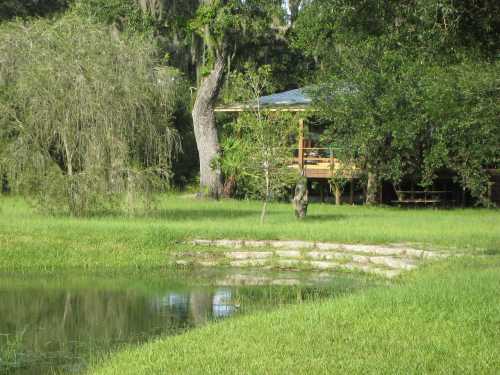 A serene landscape featuring a wooden cabin by a pond, surrounded by lush greenery and trees.