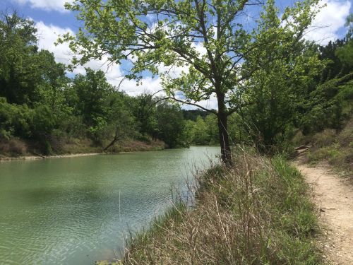 A serene riverbank scene with lush green trees and a clear blue sky, reflecting in the calm water.