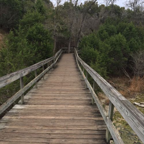 A wooden bridge leads through a forested area, surrounded by green trees and a natural landscape.