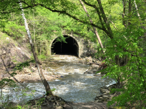 A serene river flows past a dark tunnel entrance, surrounded by lush green trees and rocky banks.