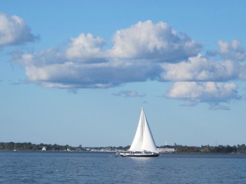 A sailboat glides across a calm blue lake under a sky dotted with fluffy white clouds.