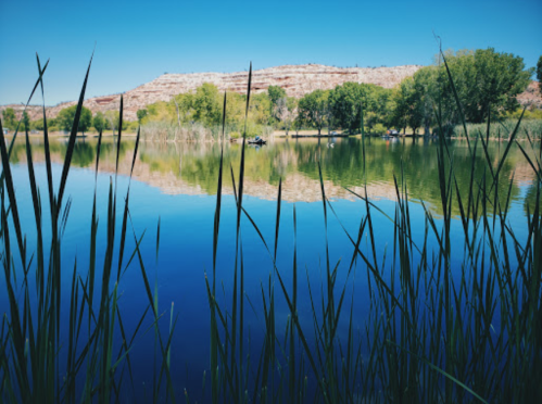 A serene lake surrounded by tall grass and trees, reflecting a clear blue sky and distant hills.