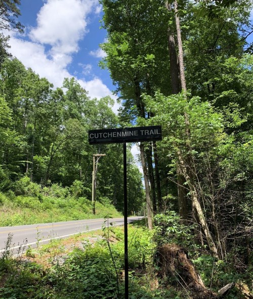Sign for Cutchenmine Trail beside a road, surrounded by lush green trees and a bright blue sky.