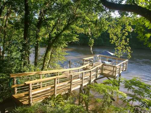 A wooden dock extends over a river, surrounded by lush green trees and foliage.