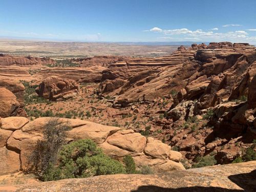 A vast desert landscape with red rock formations and sparse greenery under a clear blue sky.