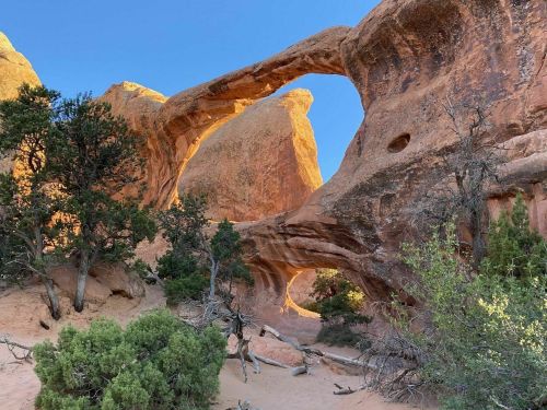 A natural rock arch surrounded by desert vegetation and sandstone formations under a clear blue sky.