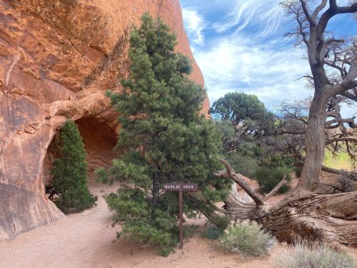A pathway leading to a rock formation with a sign for "Hayduke Arch," surrounded by trees and blue sky.