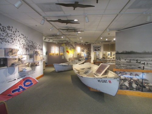 Interior of a museum exhibit featuring boats, bird displays, and photographs on the walls.