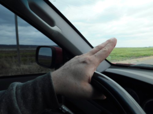 A hand signals from the driver's seat of a car, with a cloudy sky and green fields visible outside.