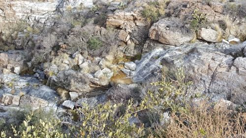A rocky landscape with a small waterfall cascading over stones, surrounded by sparse vegetation.