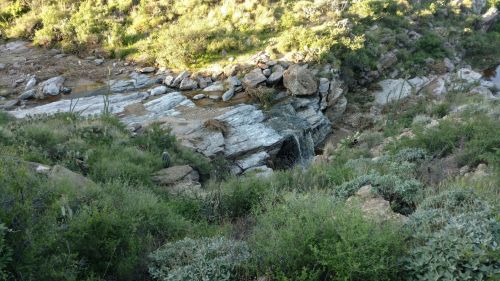 A rocky landscape with a small waterfall surrounded by lush greenery and scattered boulders.