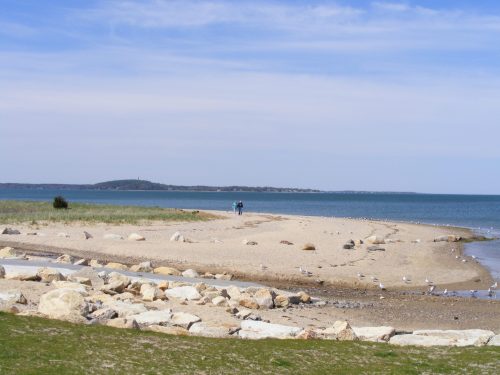 A sandy beach with rocks, seagulls, and two people walking along the shore under a clear blue sky.