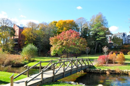 A wooden bridge crosses a stream in a park with colorful autumn trees and a clear blue sky.