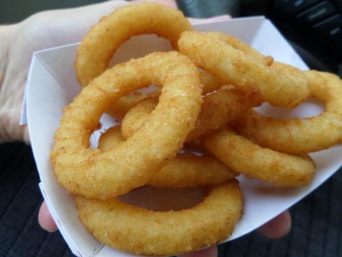 A hand holding a container of golden, crispy onion rings.